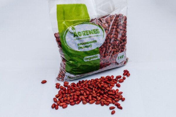 Groundnut