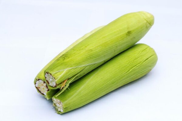 Fresh maize