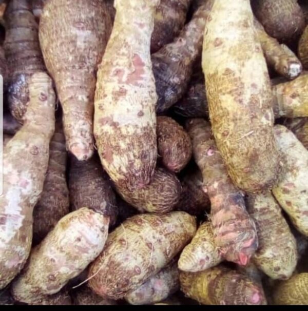 Coco Yams